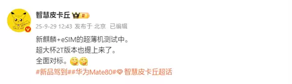 苹果推超薄iPhone