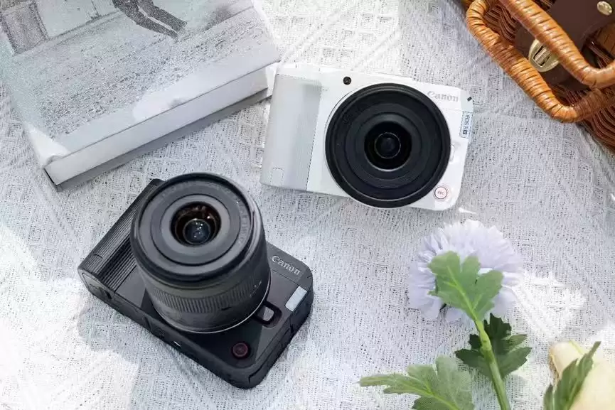 宠物摄影党的福音！佳能R50V对焦准追焦快，把毛孩子灵动瞬间焊在画面里