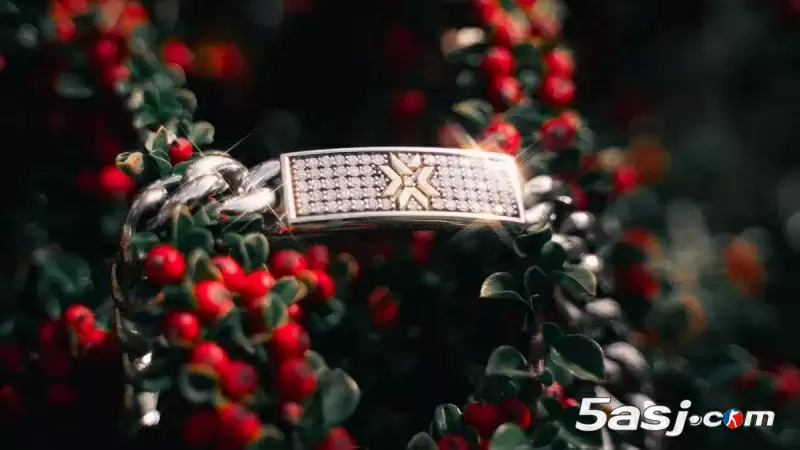 2025巴黎VCT全球冠军赛FMVP揭晓!独家Good