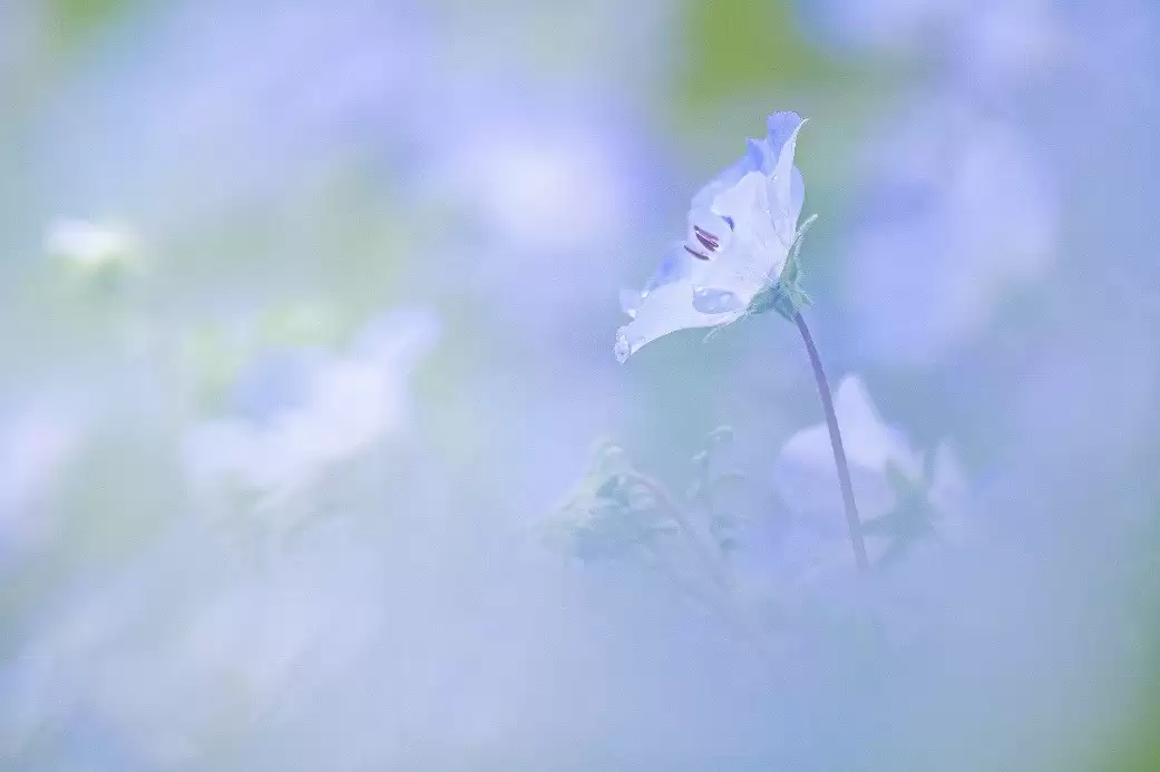 金风入镜，秋意定格——尼康全画幅微单伴你十一寻秋