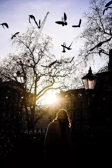 金风入镜，秋意定格——尼康全画幅微单伴你十一寻秋