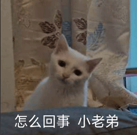 高端化之后 小米有了新的野心