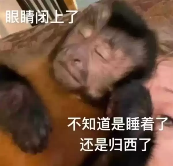 高端化之后 小米有了新的野心