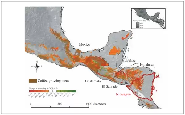 打工人的续命水 快要喝不起了
