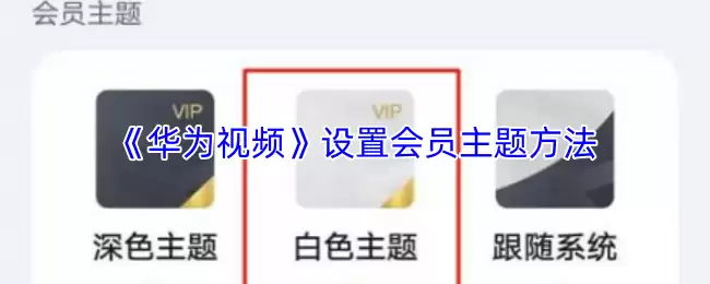 《华为视频》设置会员主题方法