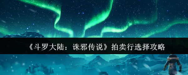 斗罗大陆拍卖行攻略：诛邪传说最优选购技巧
