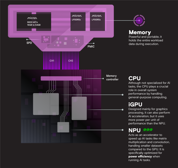 英睿达推出全新笔记本LPCAMM2内存：最高64GB