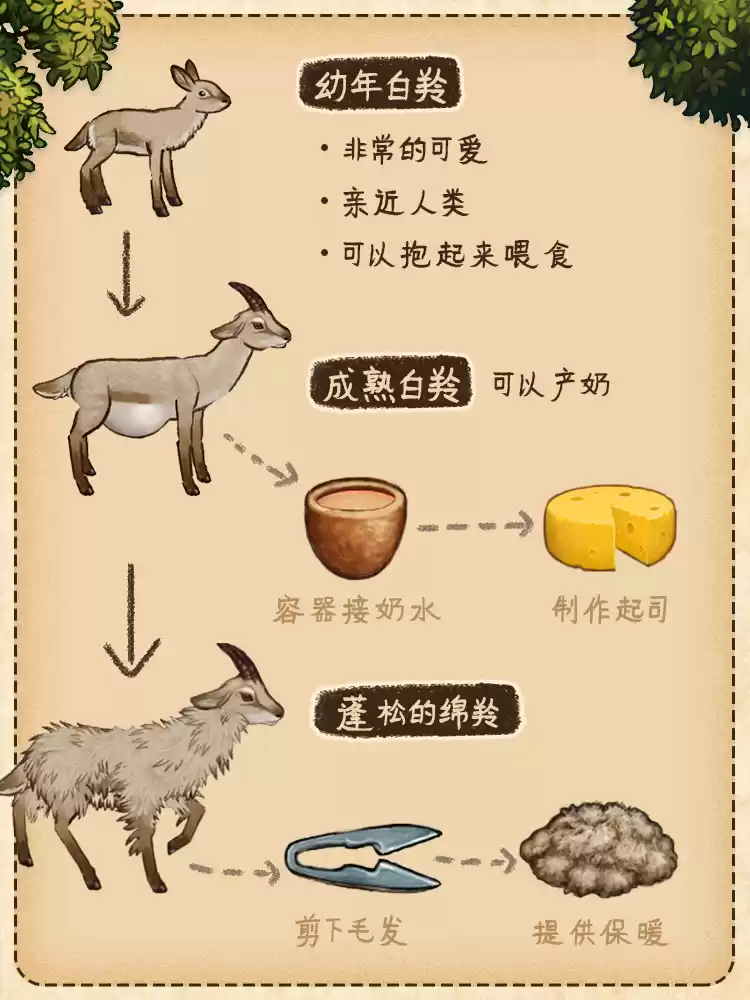 村落人生生存指南植物篇