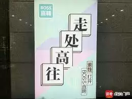 Boss直聘隐私保护机制示意图