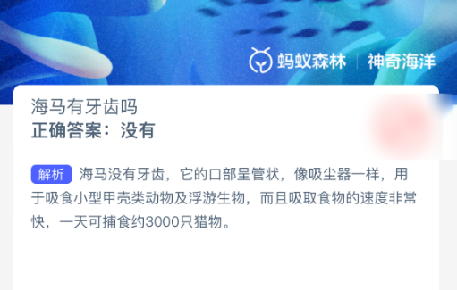 海马特写图片