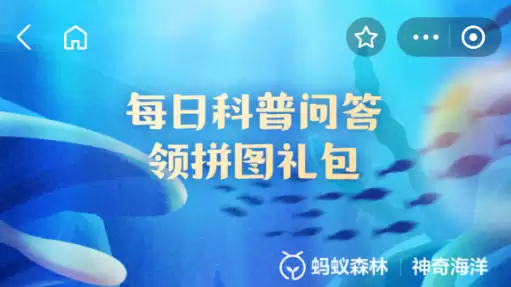 神奇海洋活动展示图