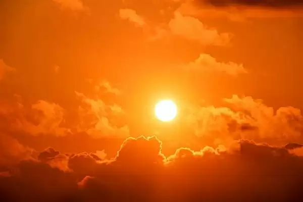 不装了!美国宣布终止近80亿美元新能源项目:直言是绿色新骗局