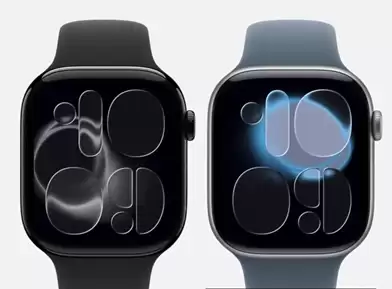 苹果淡化“碳中和”宣传