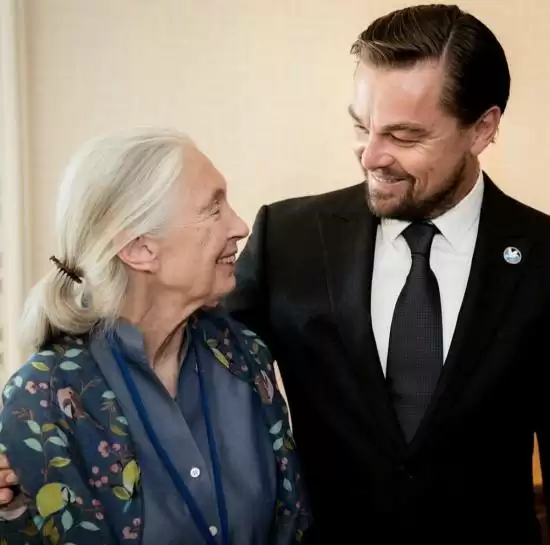 珍·古道尔:地球守护者的精神永存