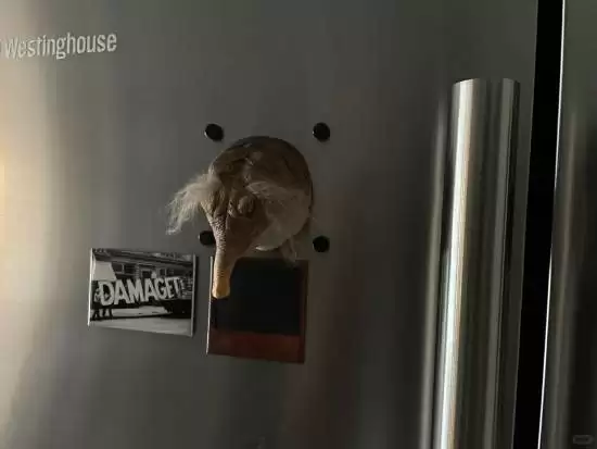 《黑神话：悟空》杨奇晒黄眉冰箱贴