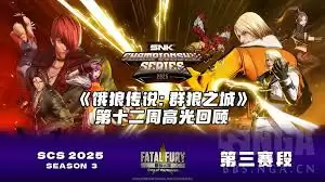 饿狼传说团队协作瞬间