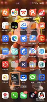 手机管家应用管理界面