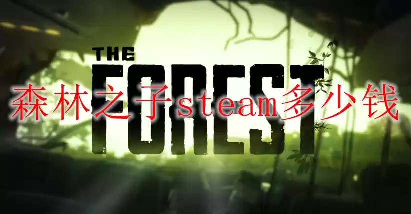 森林之子多少钱