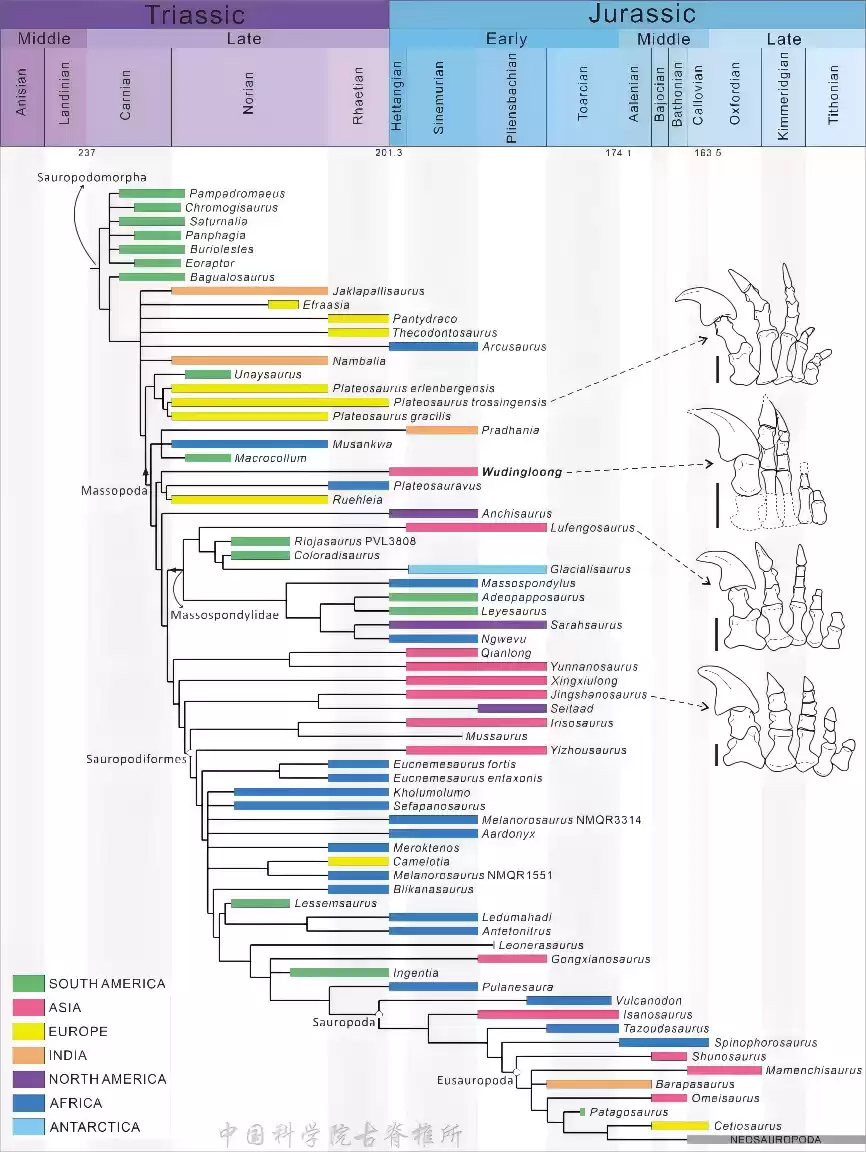 云南发现东亚最早蜥脚型类恐龙，中国科学院命名为吴氏武定龙