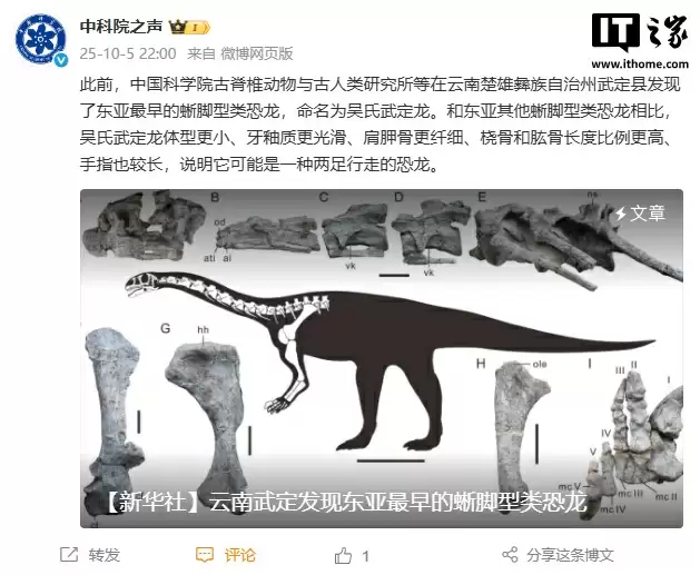 云南发现东亚最早蜥脚型类恐龙，中国科学院命名为吴氏武定龙