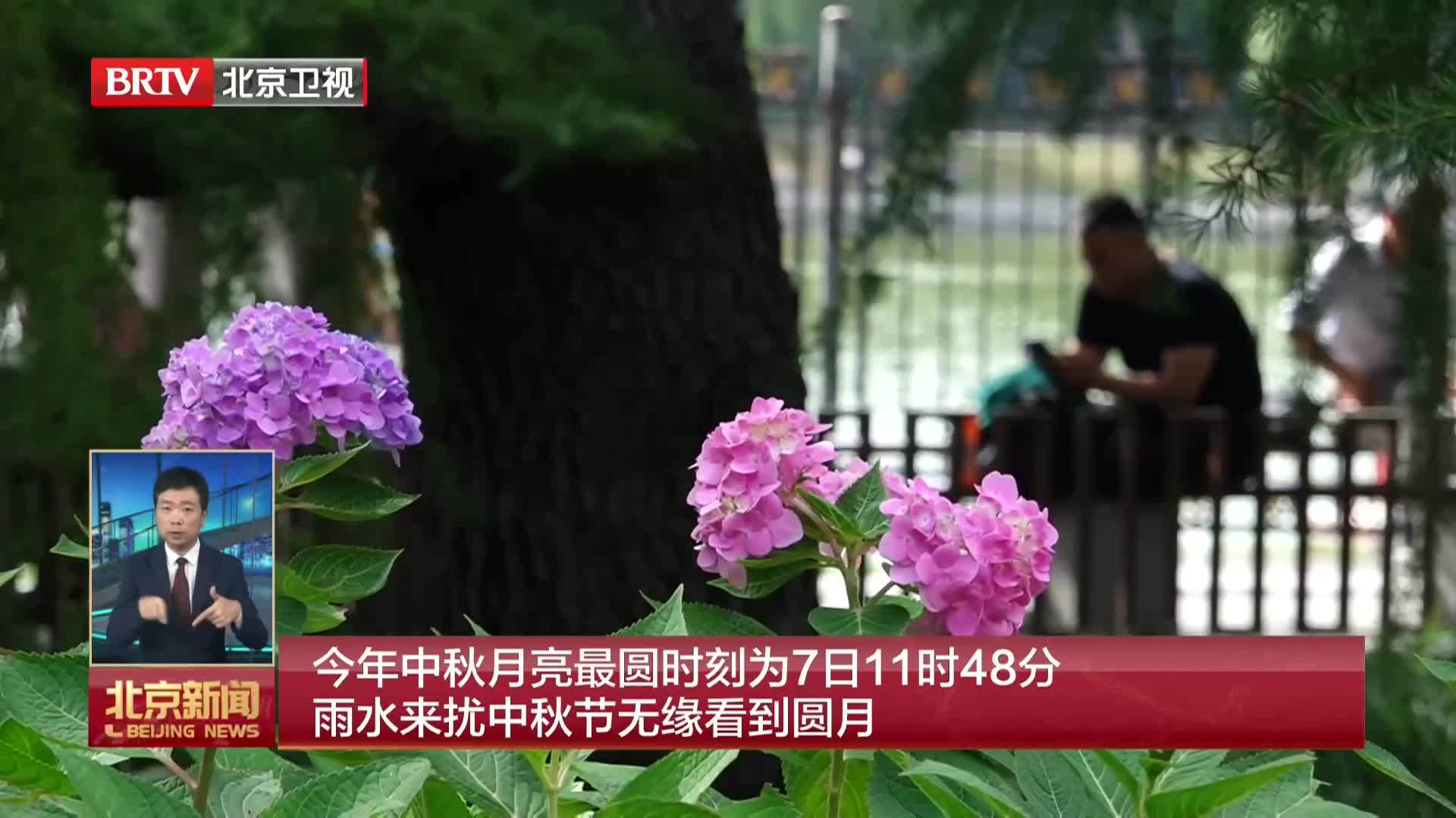 历法解析