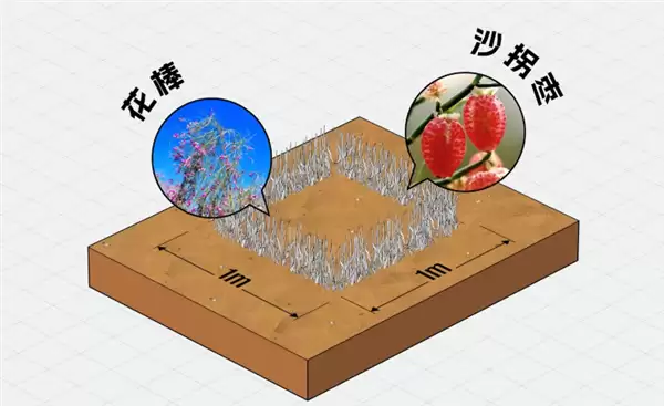 中国治沙47年 竟然不是为了消灭沙漠