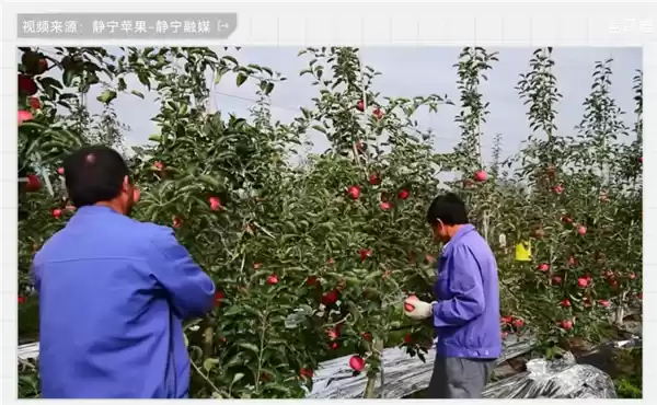 中国治沙47年 竟然不是为了消灭沙漠