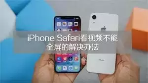 Safari开发菜单设置示意图