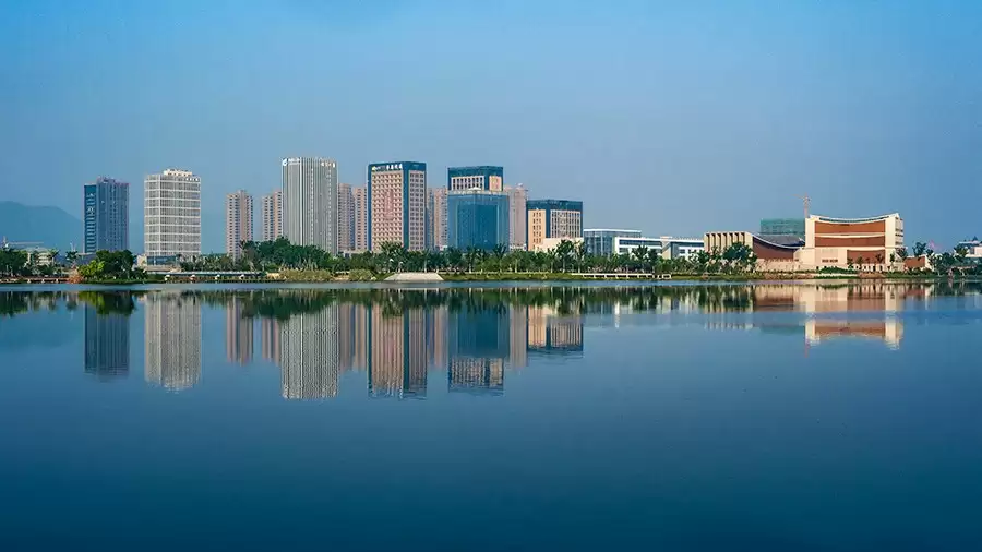 湿地共筑叶云飞