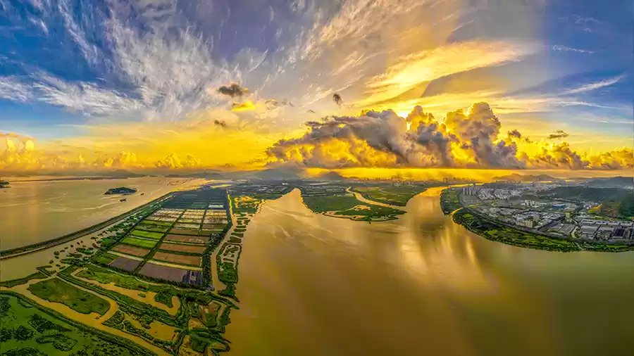 《湿意》陈严雪