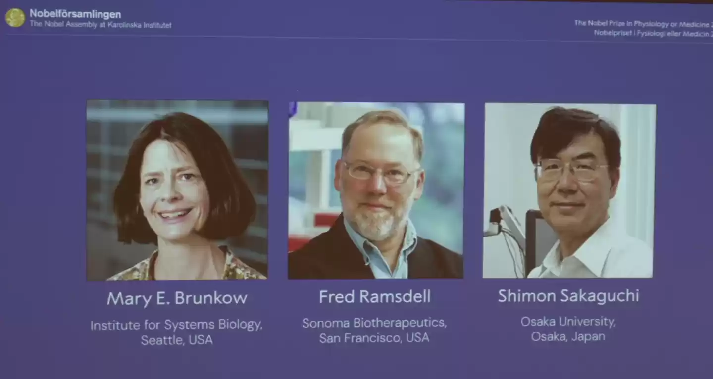 2025 诺贝尔生理学或医学奖授予三学者：揭示“外周免疫耐受”机制，奠定免疫调控理论基础