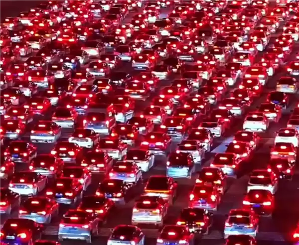 堵船堵骆驼堵香蕉