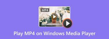 Windows Media Player界面