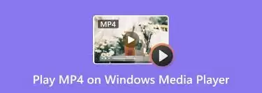 Windows Media Player界面