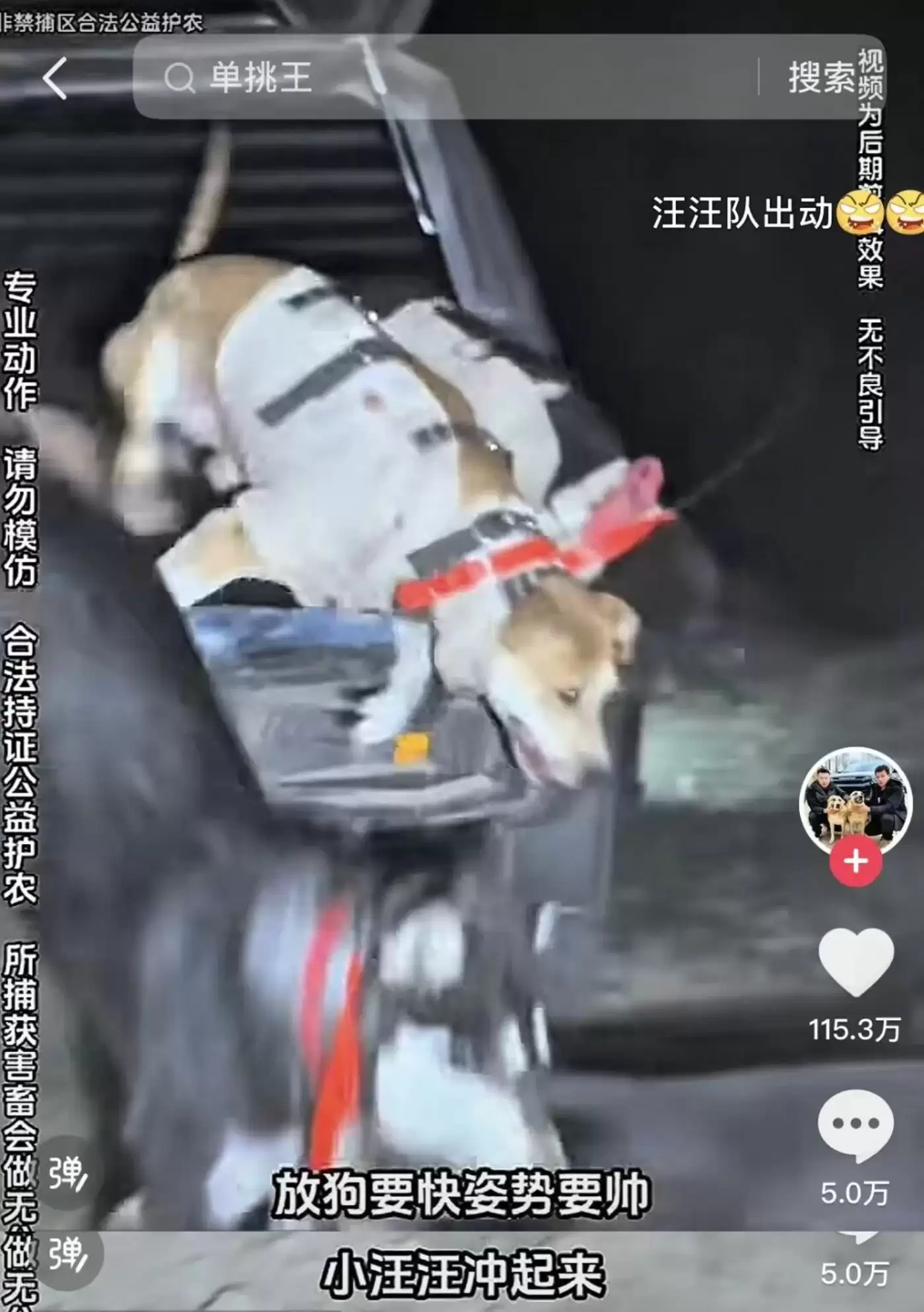 西北刀客捕猎场景