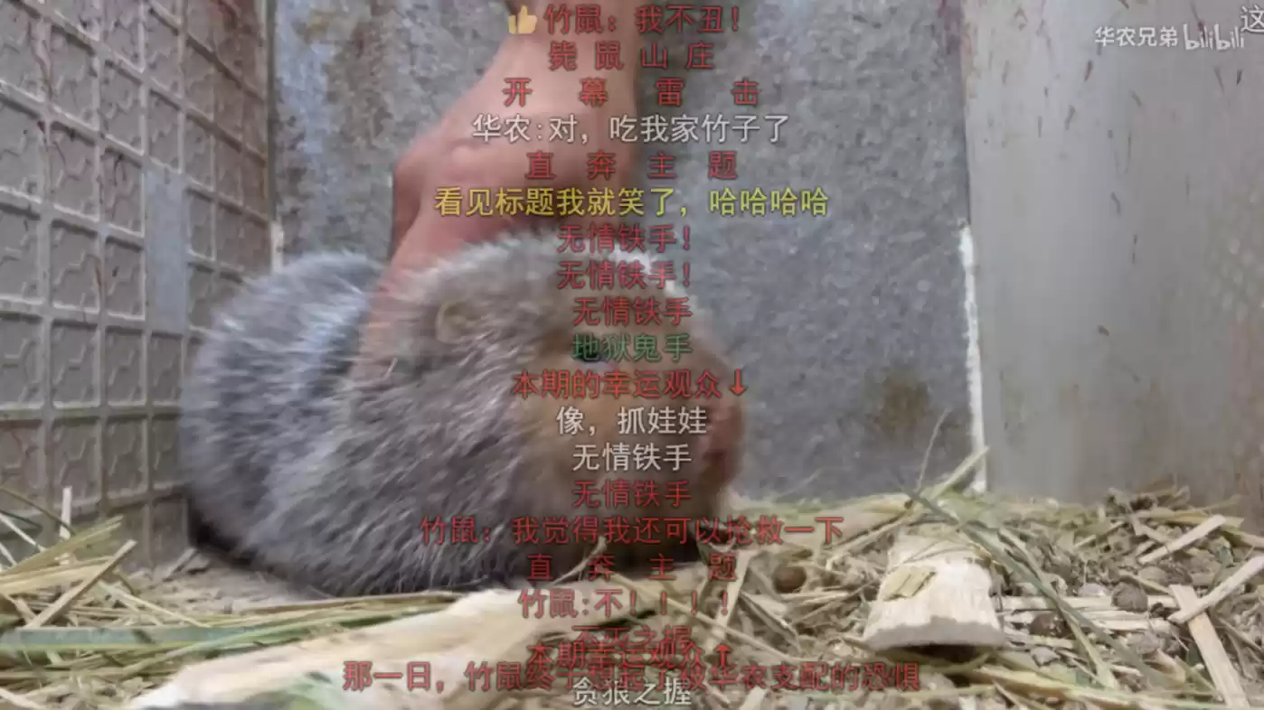 三农内容创作者