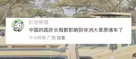 中国人国庆放假 东非大草原都堵车了 网友:聚是一栋楼 散是满地球