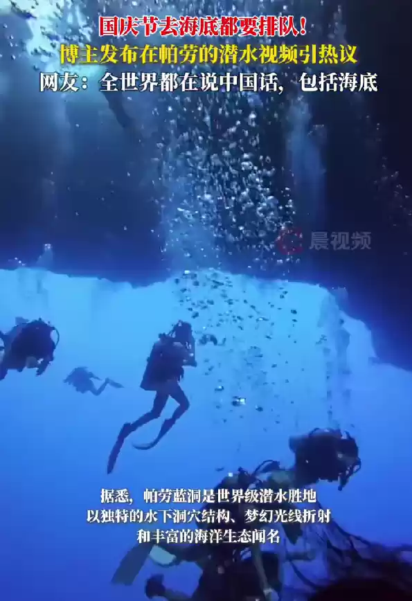 中国游客在帕劳潜水像下饺子：去海都要排队 鱼还没有人多