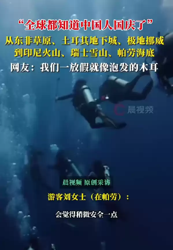 中国游客在帕劳潜水像下饺子：去海都要排队 鱼还没有人多