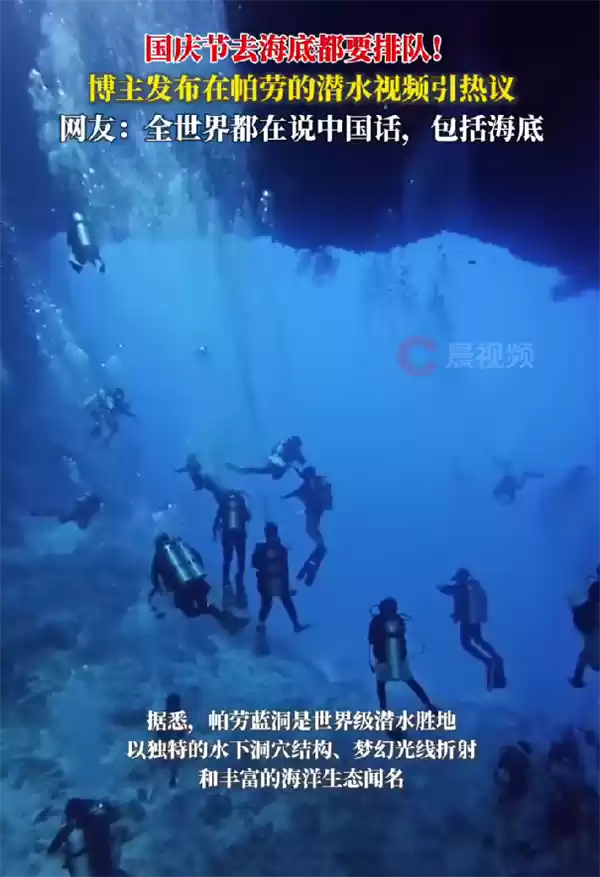 中国游客在帕劳潜水像下饺子：去海都要排队 鱼还没有人多