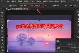 PS导入图片界面