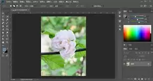 裁剪工具示意图