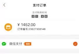 支付宝支付成功界面