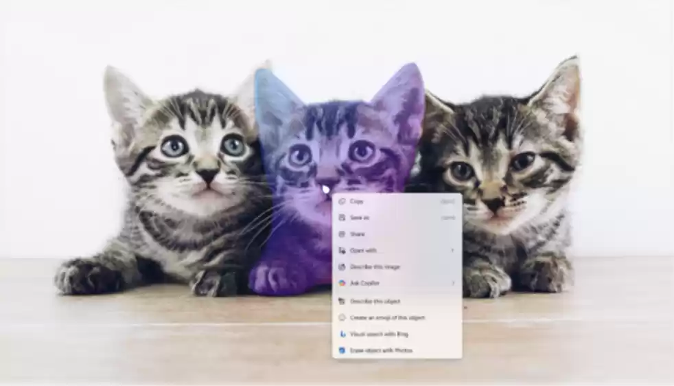 微软推 Win11 Beta / Dev 26x20.6772 预览版:新增“图片对象选择”功能,实现照片中“一键抠图”