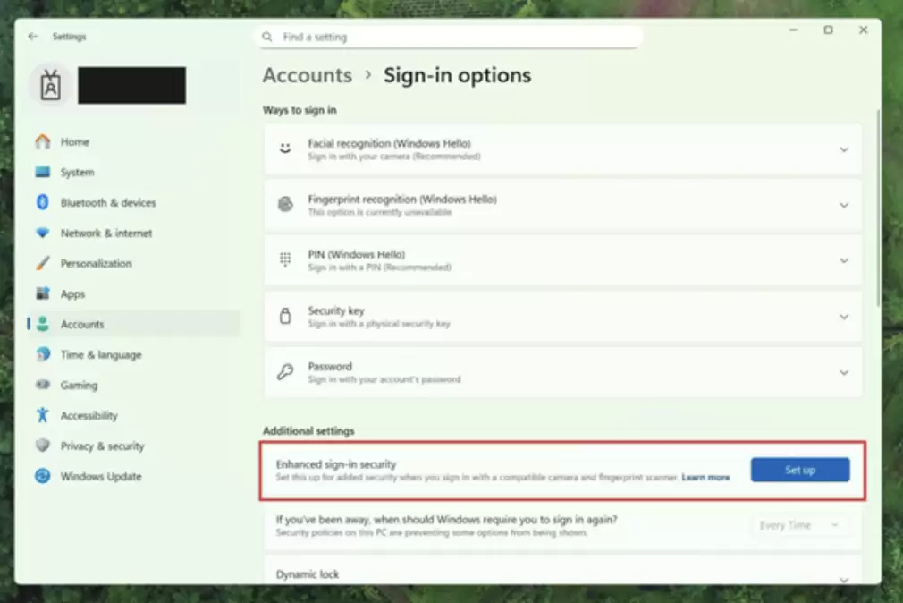 微软推 Win11 Beta / Dev 26x20.6772 预览版:新增“图片对象选择”功能,实现照片中“一键抠图”