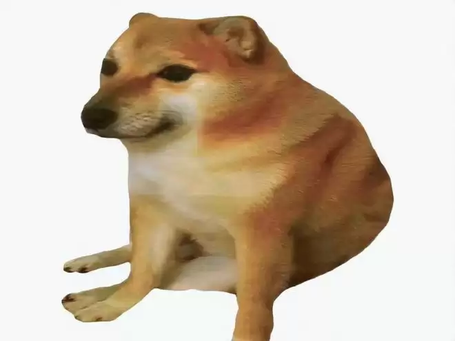 狗狗币的“超级周期”猜想：它真的能冲上1美元吗？ - php中文网