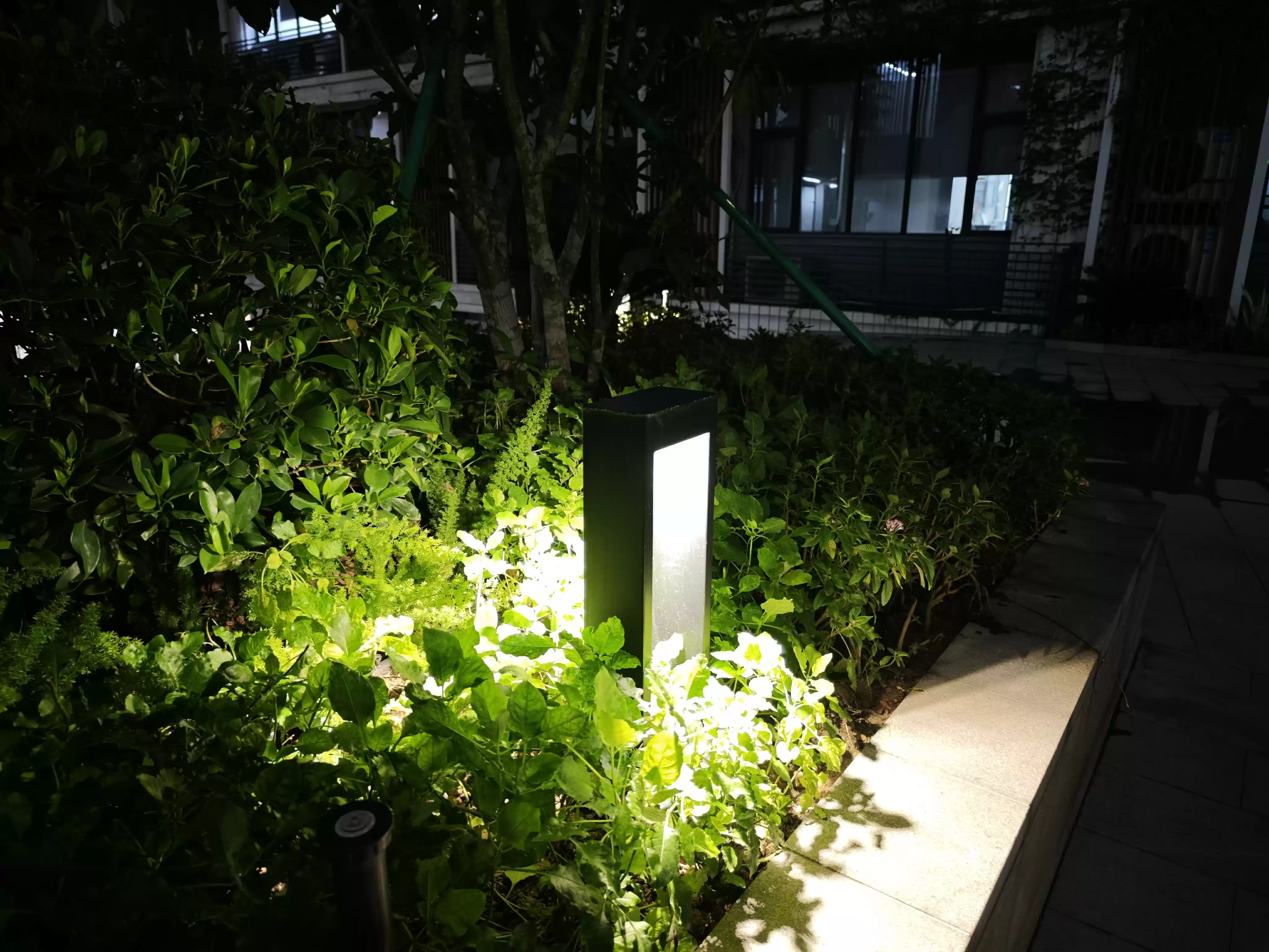 Wec h a tIMG10021.webp