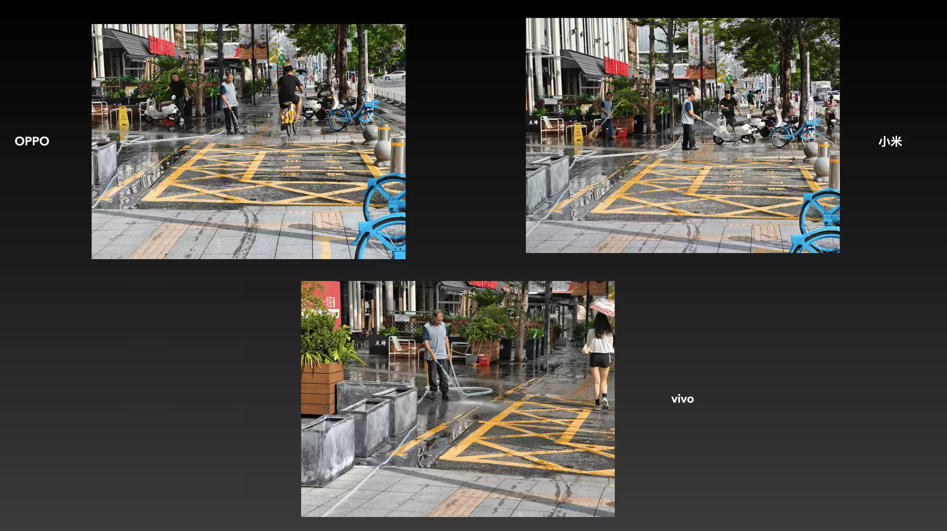 Wec h a tIMG6106.webp