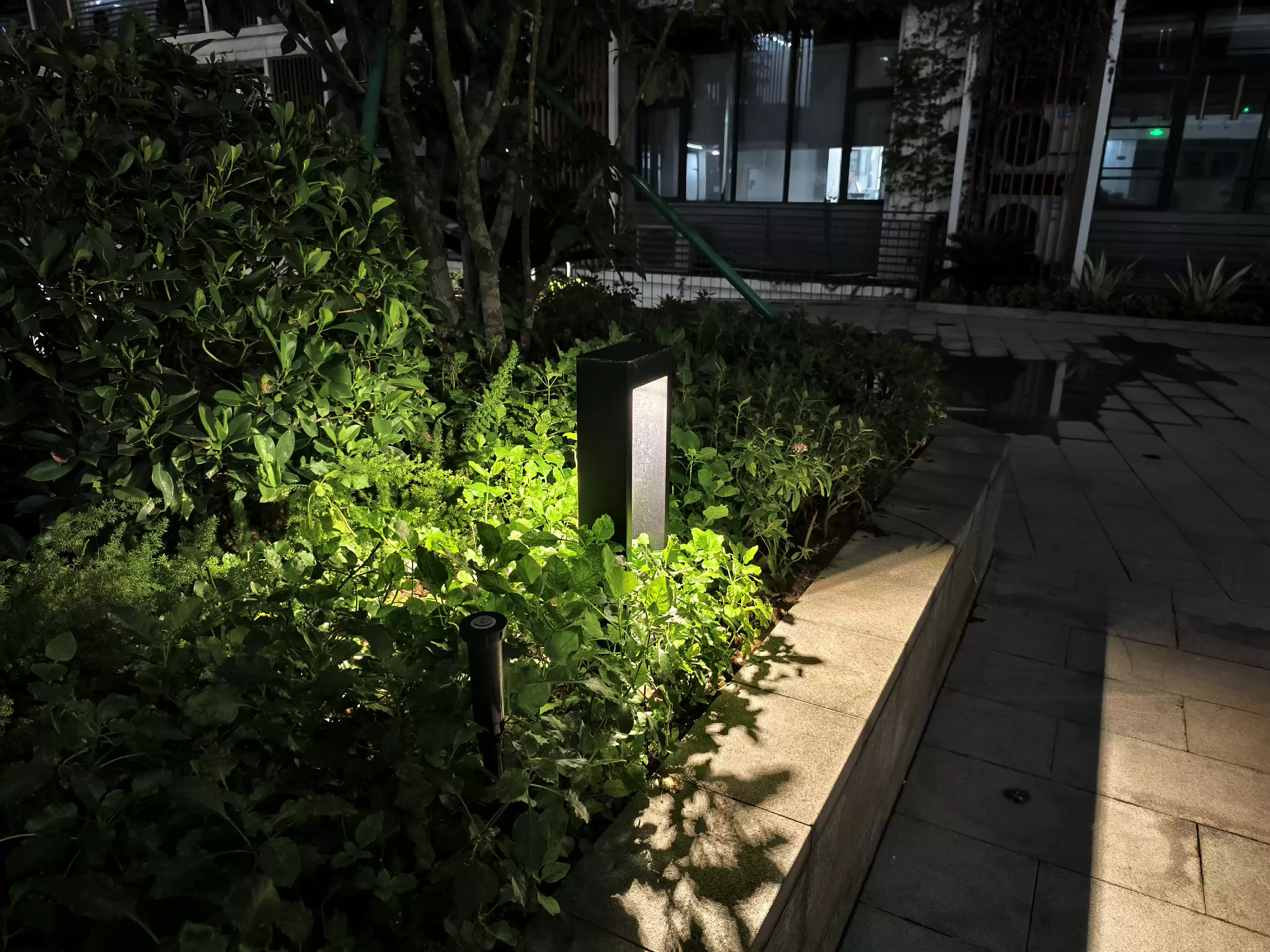 Wec h a tIMG6113.webp