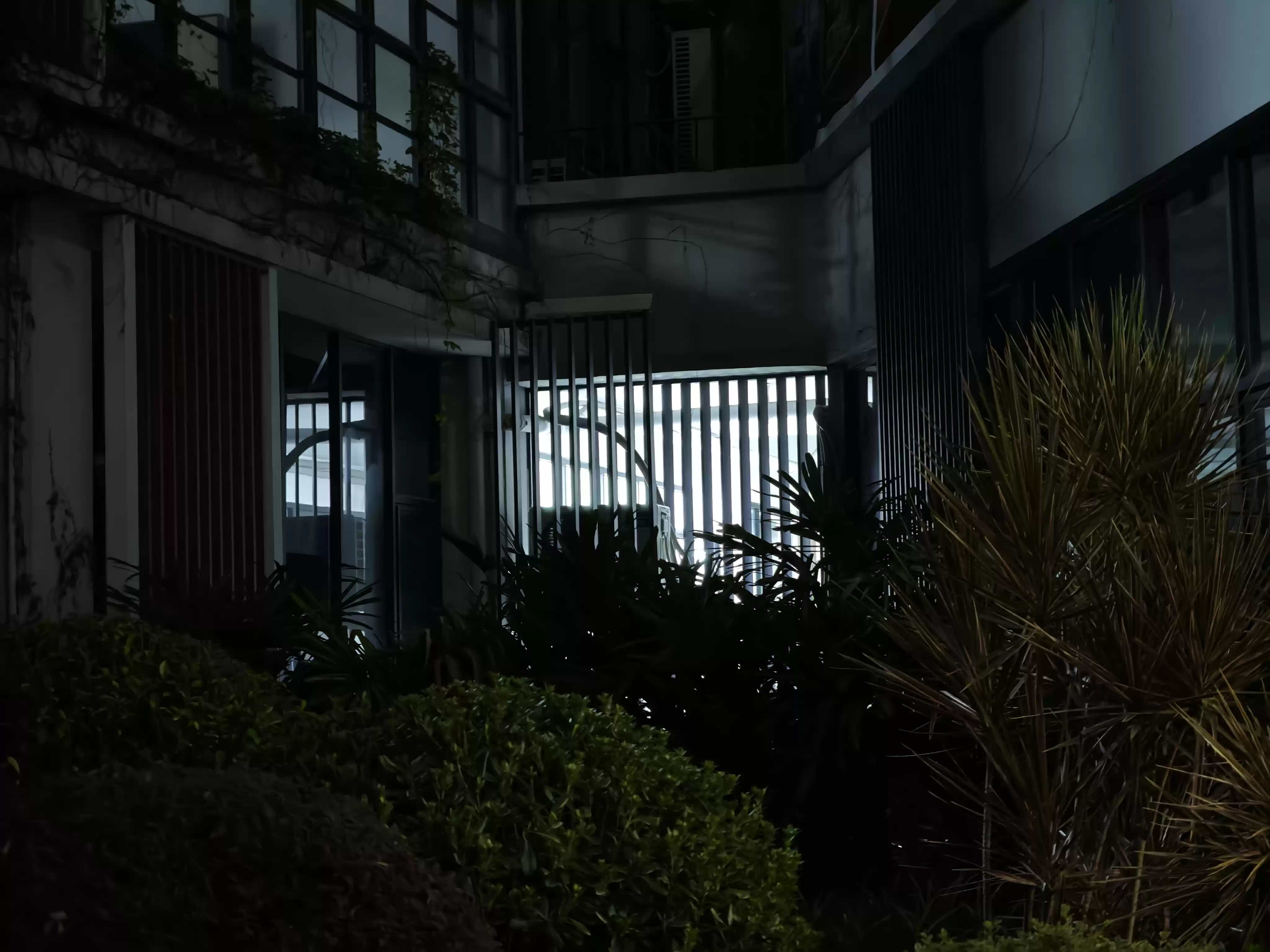 Wec h a tIMG10022.webp